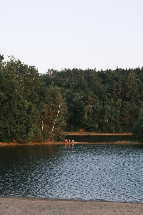 Lodge Avec Spa Privatif - Foret Et Lac Liginiac Екстериор снимка