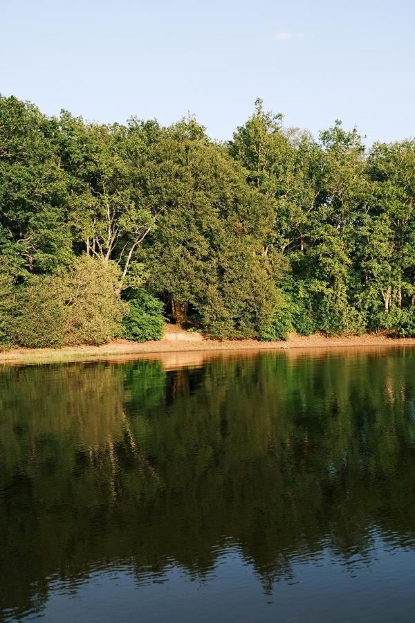 Lodge Avec Spa Privatif - Foret Et Lac Liginiac Екстериор снимка