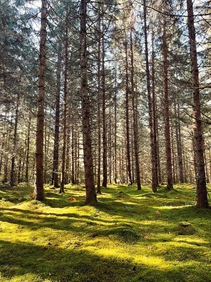 Lodge Avec Spa Privatif - Foret Et Lac Liginiac Екстериор снимка
