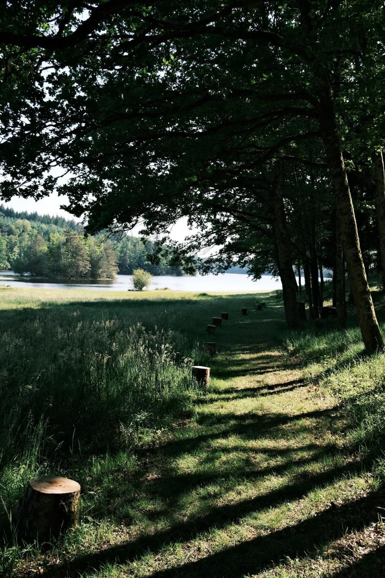 Lodge Avec Spa Privatif - Foret Et Lac Liginiac Екстериор снимка