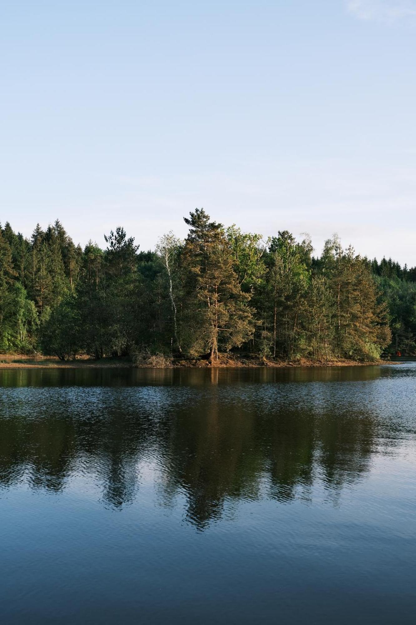 Lodge Avec Spa Privatif - Foret Et Lac Liginiac Екстериор снимка