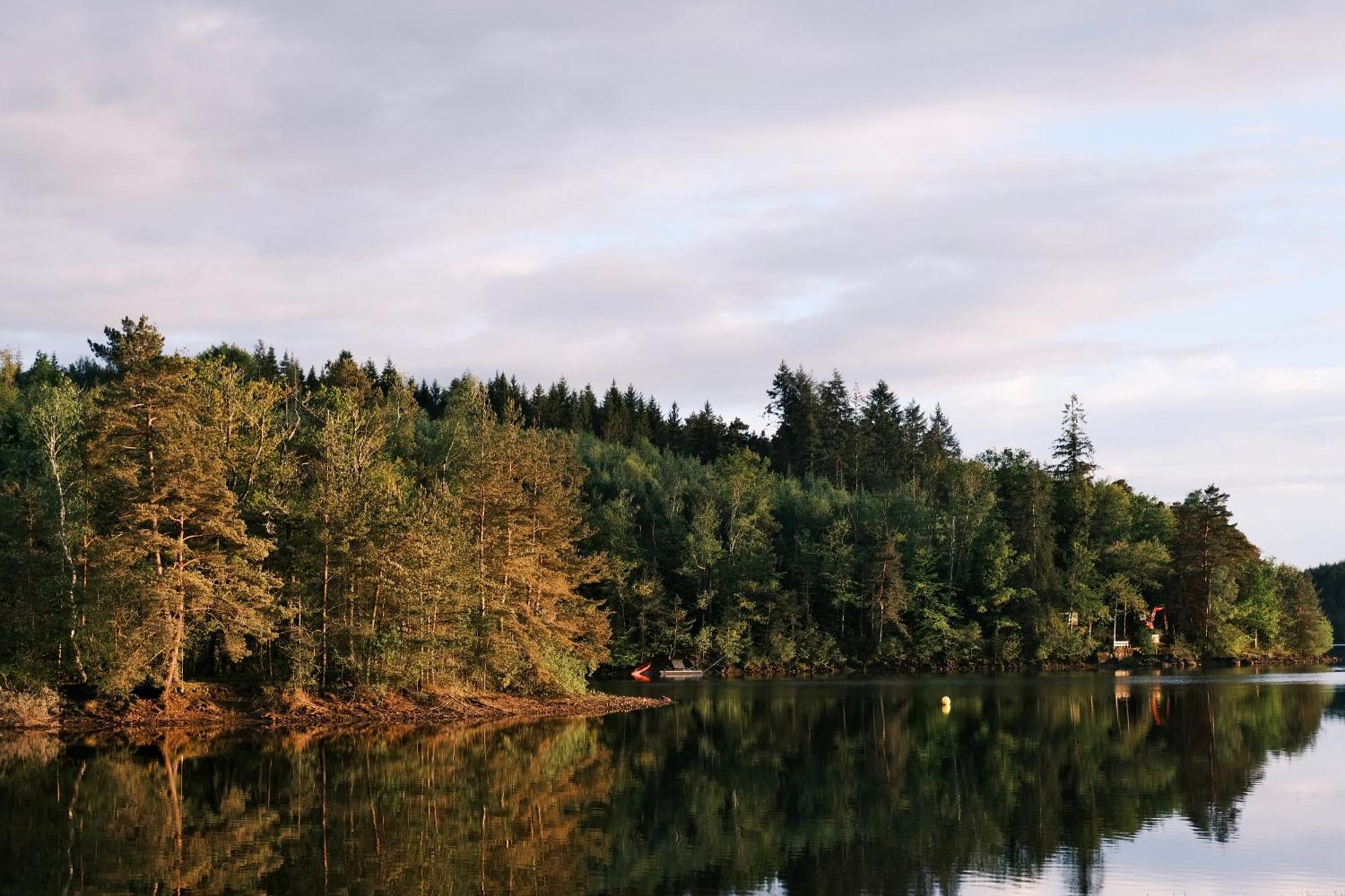 Lodge Avec Spa Privatif - Foret Et Lac Liginiac Екстериор снимка